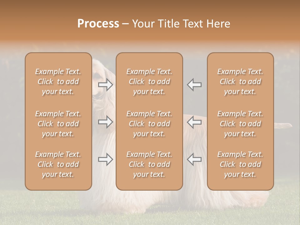 Outdoor American Beauty PowerPoint Template