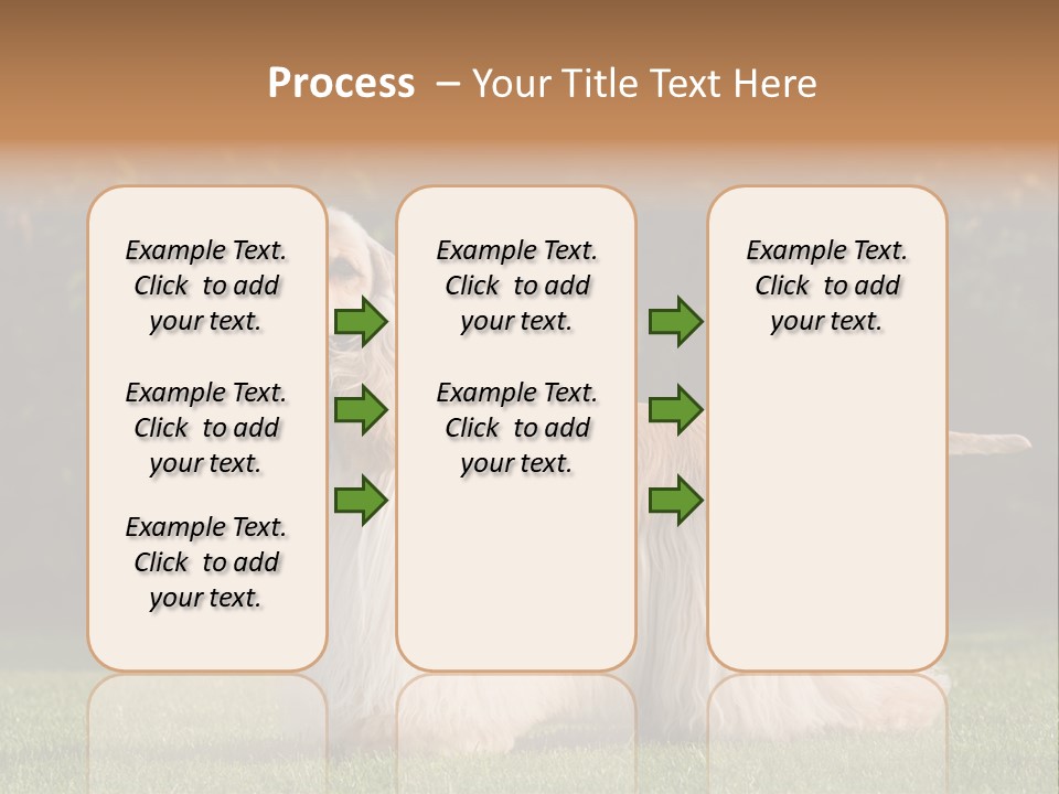 Outdoor American Beauty PowerPoint Template