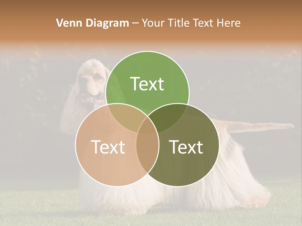 Outdoor American Beauty PowerPoint Template