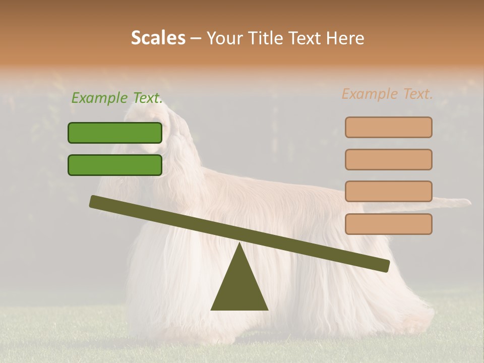 Outdoor American Beauty PowerPoint Template