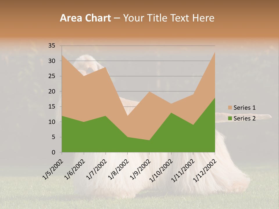 Outdoor American Beauty PowerPoint Template