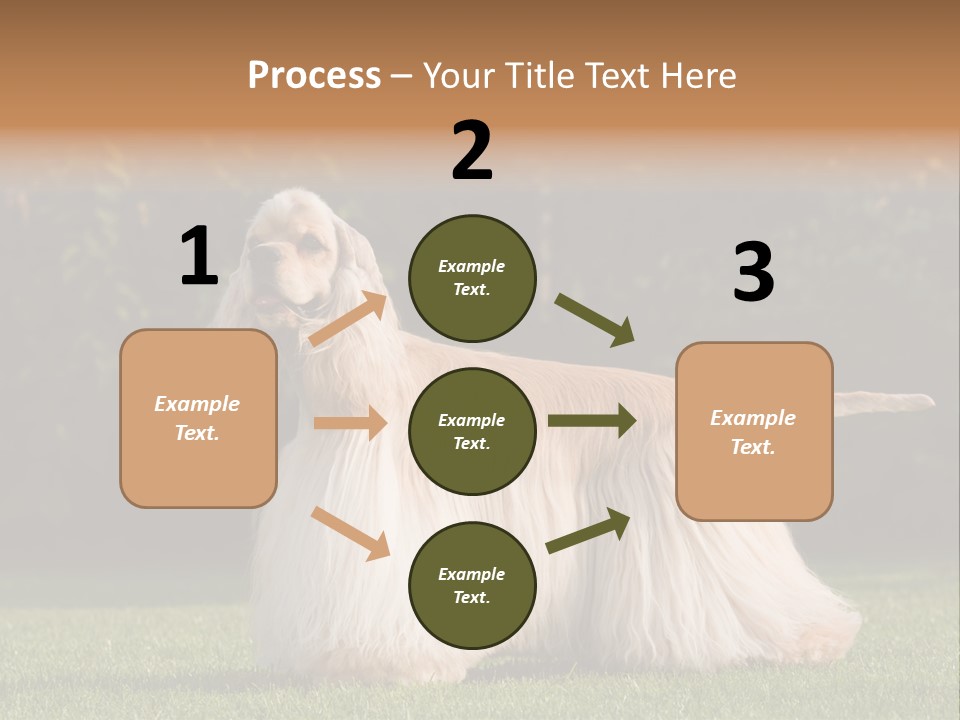 Outdoor American Beauty PowerPoint Template