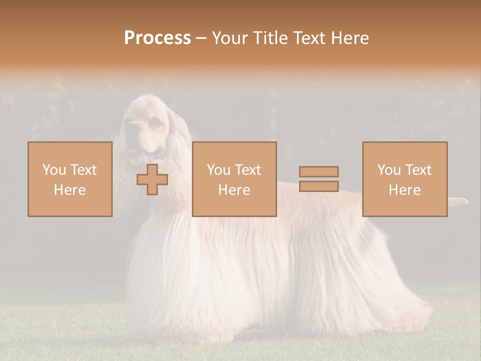 Outdoor American Beauty PowerPoint Template