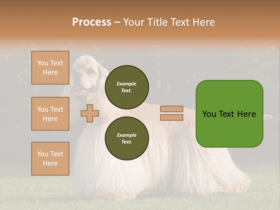 Outdoor American Beauty PowerPoint Template