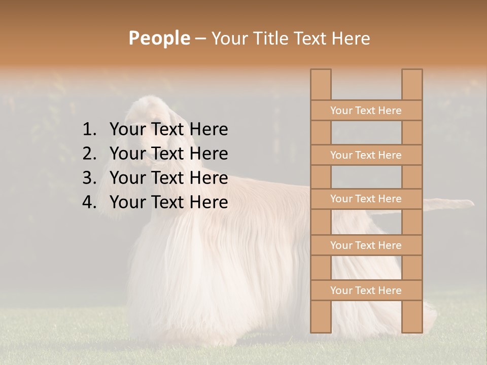 Outdoor American Beauty PowerPoint Template