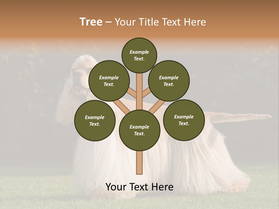 Outdoor American Beauty PowerPoint Template