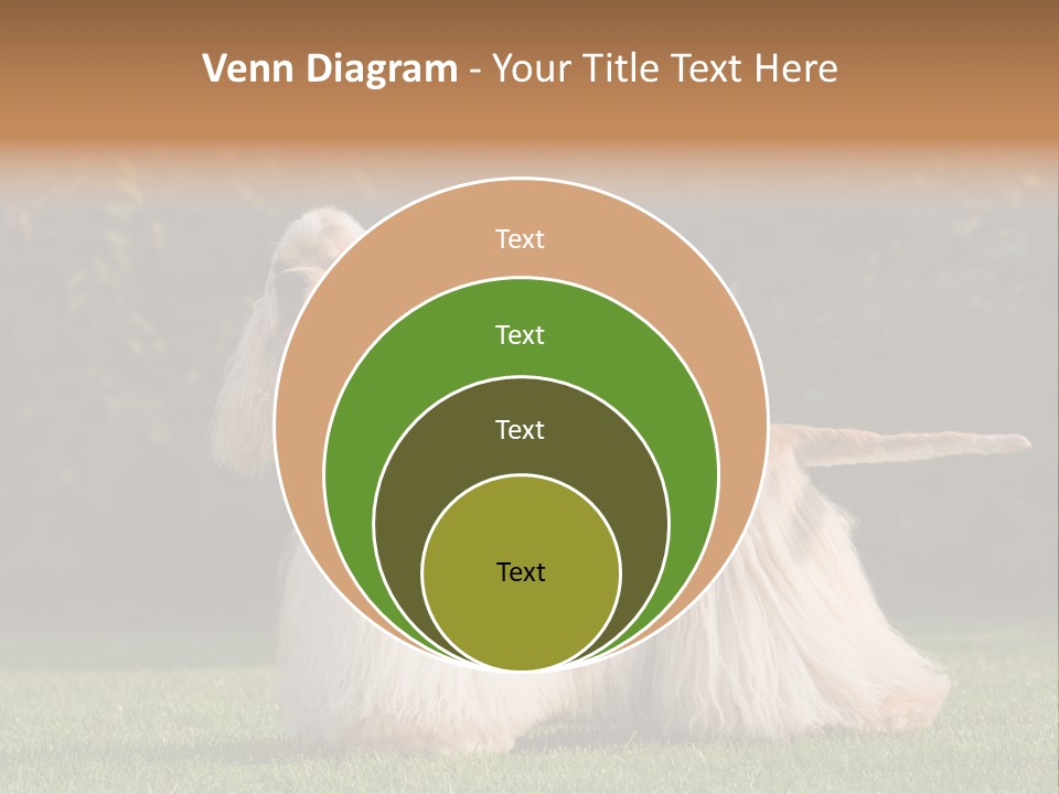 Outdoor American Beauty PowerPoint Template