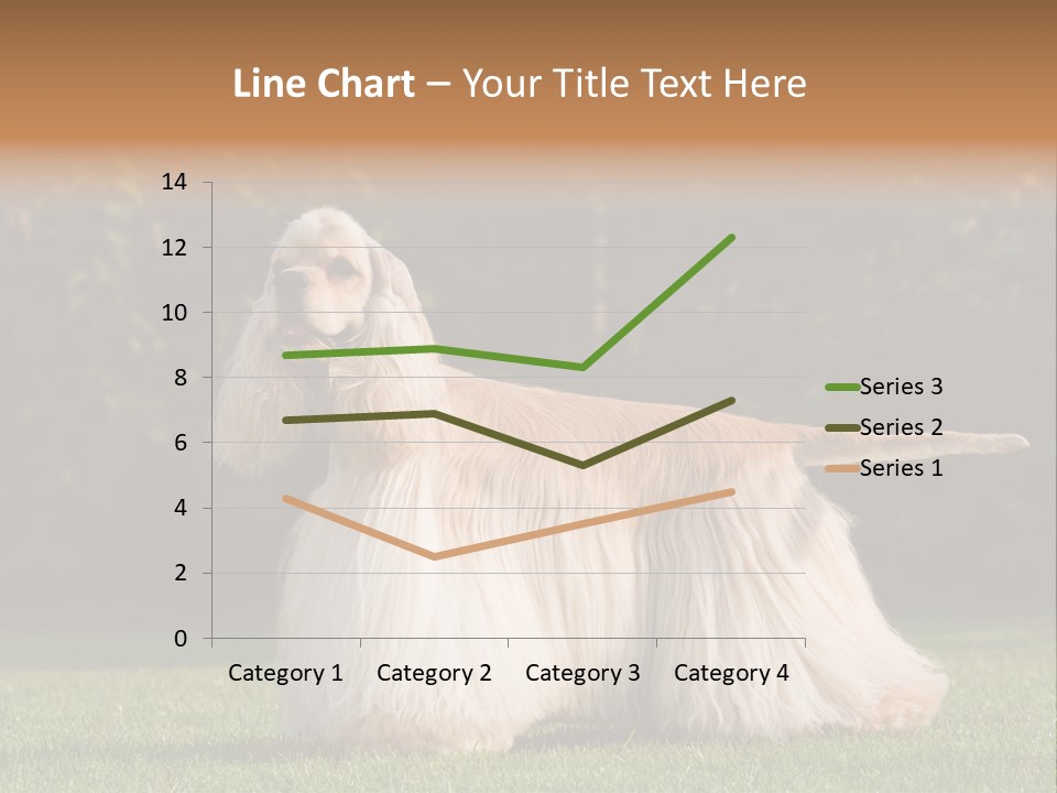 Outdoor American Beauty PowerPoint Template