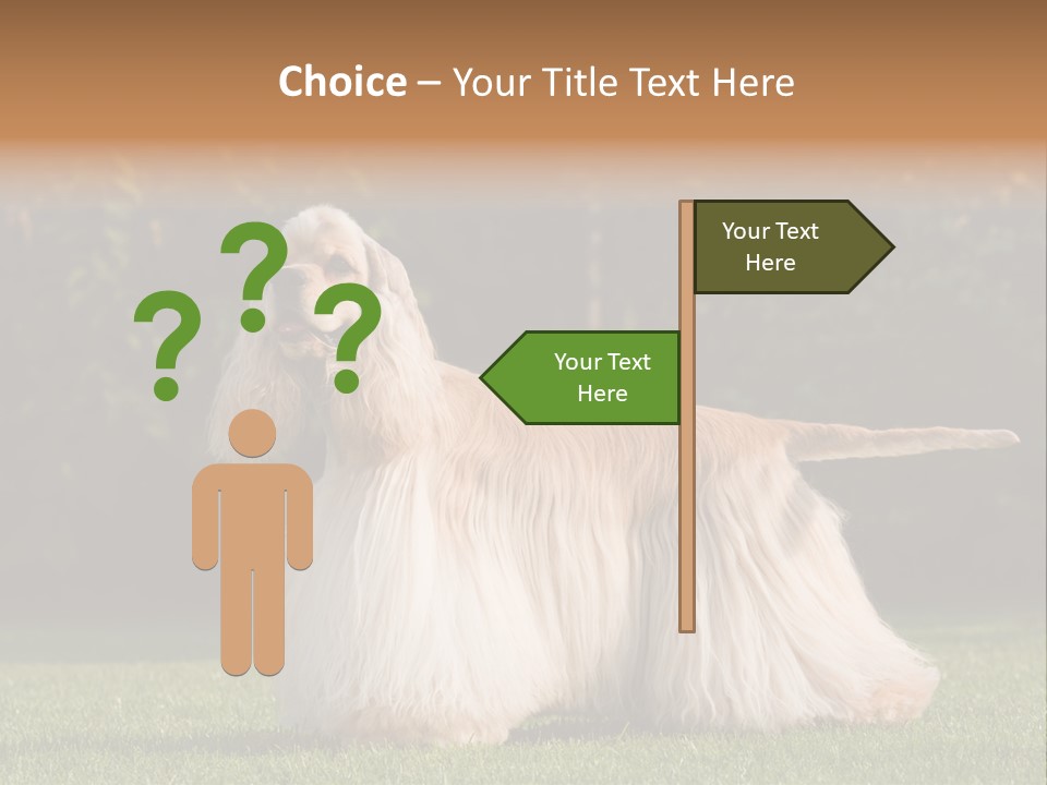 Outdoor American Beauty PowerPoint Template