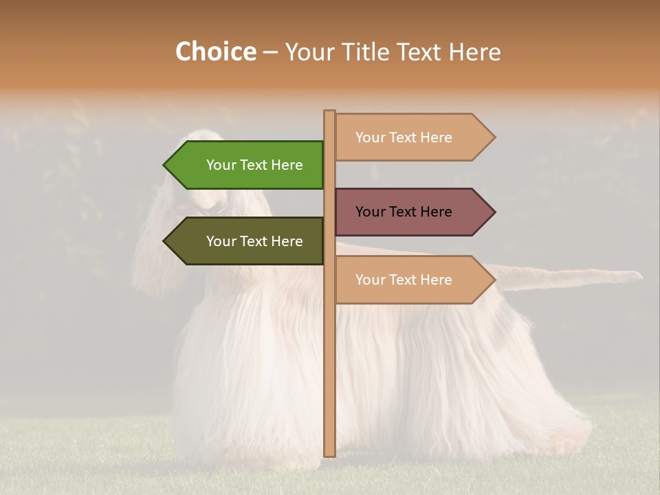 Outdoor American Beauty PowerPoint Template