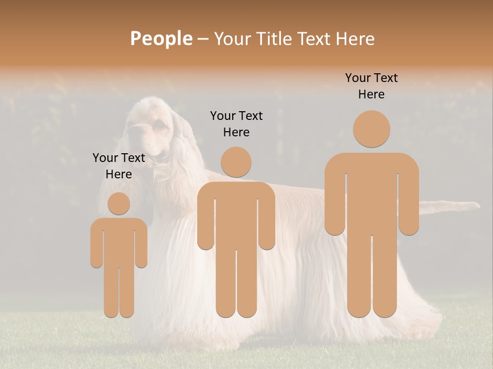 Outdoor American Beauty PowerPoint Template