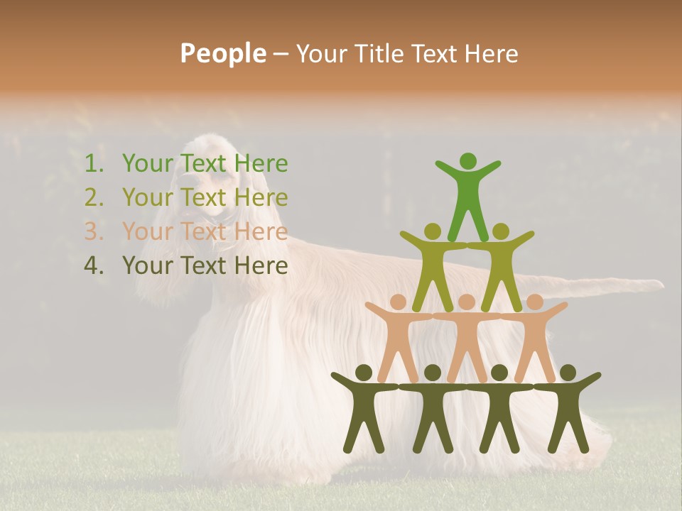 Outdoor American Beauty PowerPoint Template