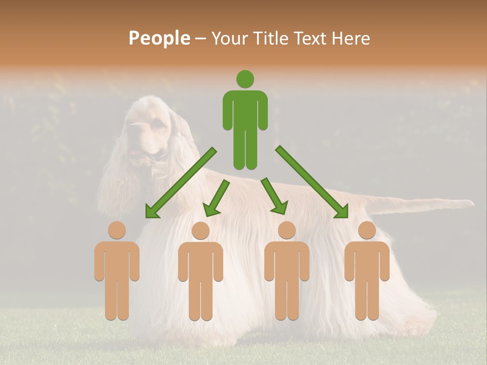 Outdoor American Beauty PowerPoint Template