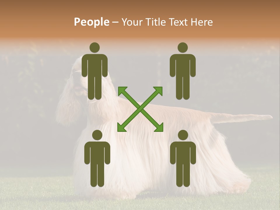 Outdoor American Beauty PowerPoint Template