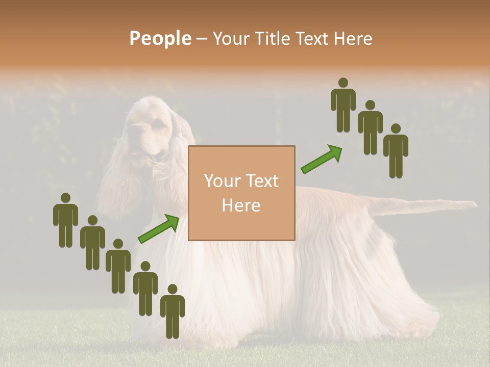 Outdoor American Beauty PowerPoint Template