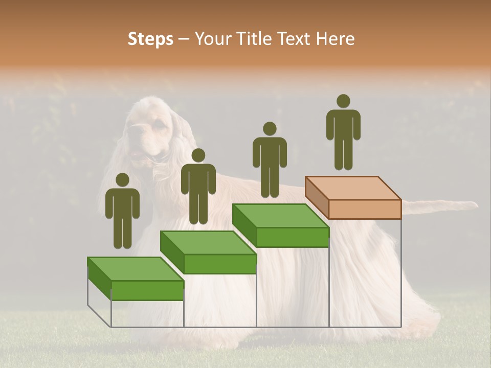 Outdoor American Beauty PowerPoint Template