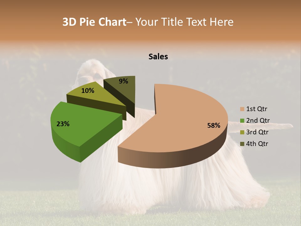 Outdoor American Beauty PowerPoint Template