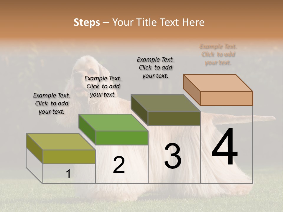 Outdoor American Beauty PowerPoint Template