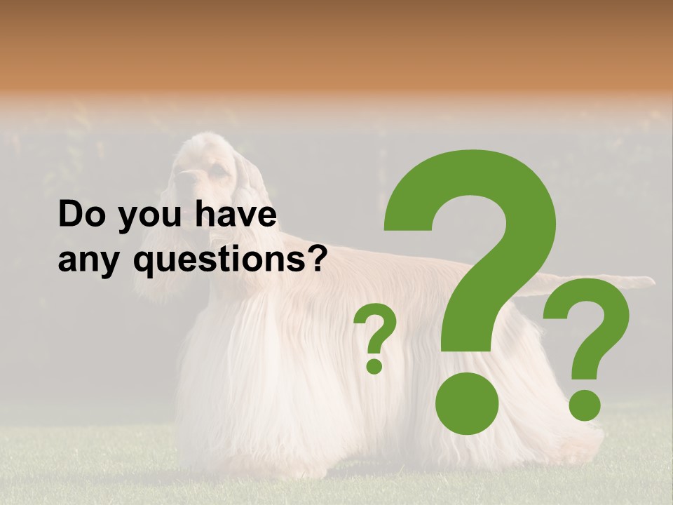 Outdoor American Beauty PowerPoint Template