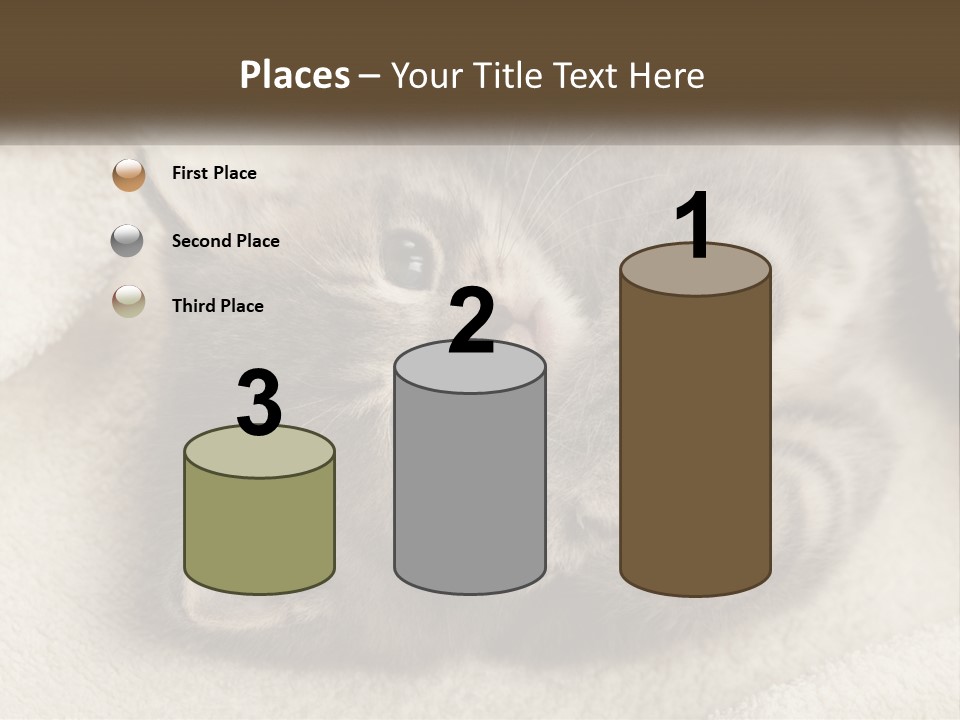 Whiskers Feline Charming PowerPoint Template