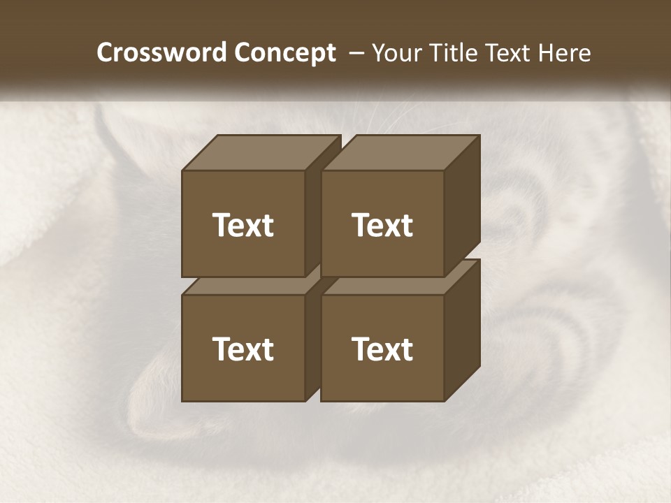 Whiskers Feline Charming PowerPoint Template