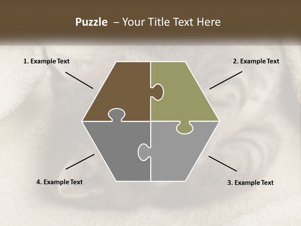 Whiskers Feline Charming PowerPoint Template