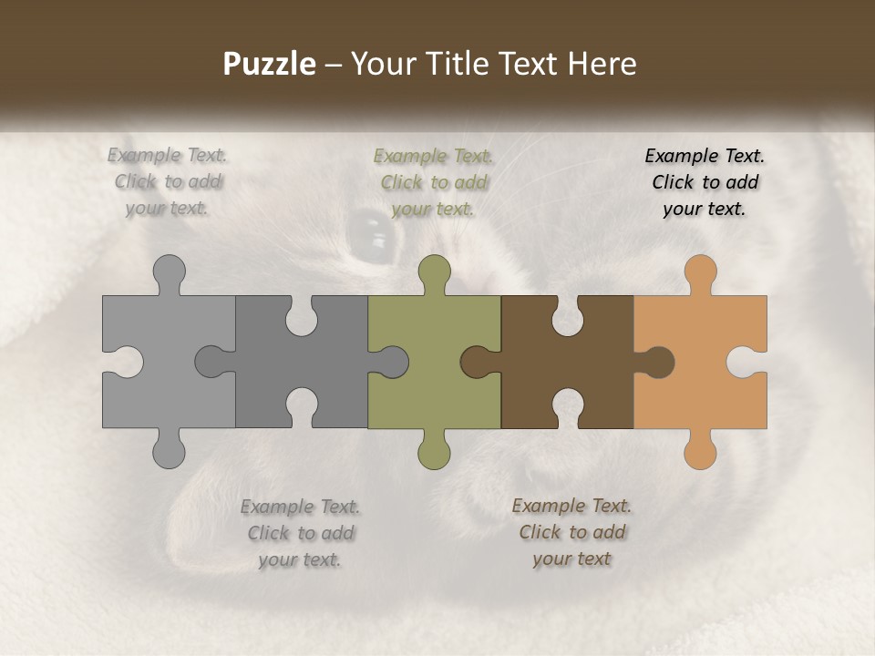 Whiskers Feline Charming PowerPoint Template