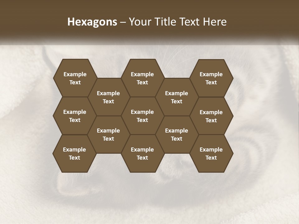 Whiskers Feline Charming PowerPoint Template