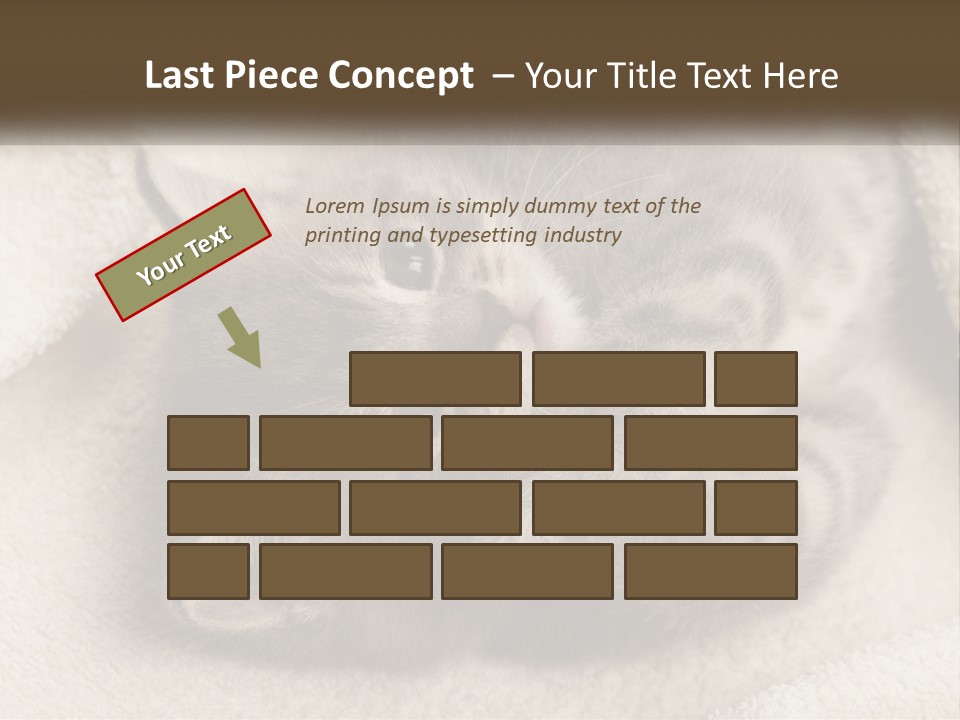 Whiskers Feline Charming PowerPoint Template