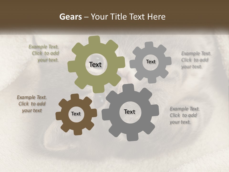 Whiskers Feline Charming PowerPoint Template