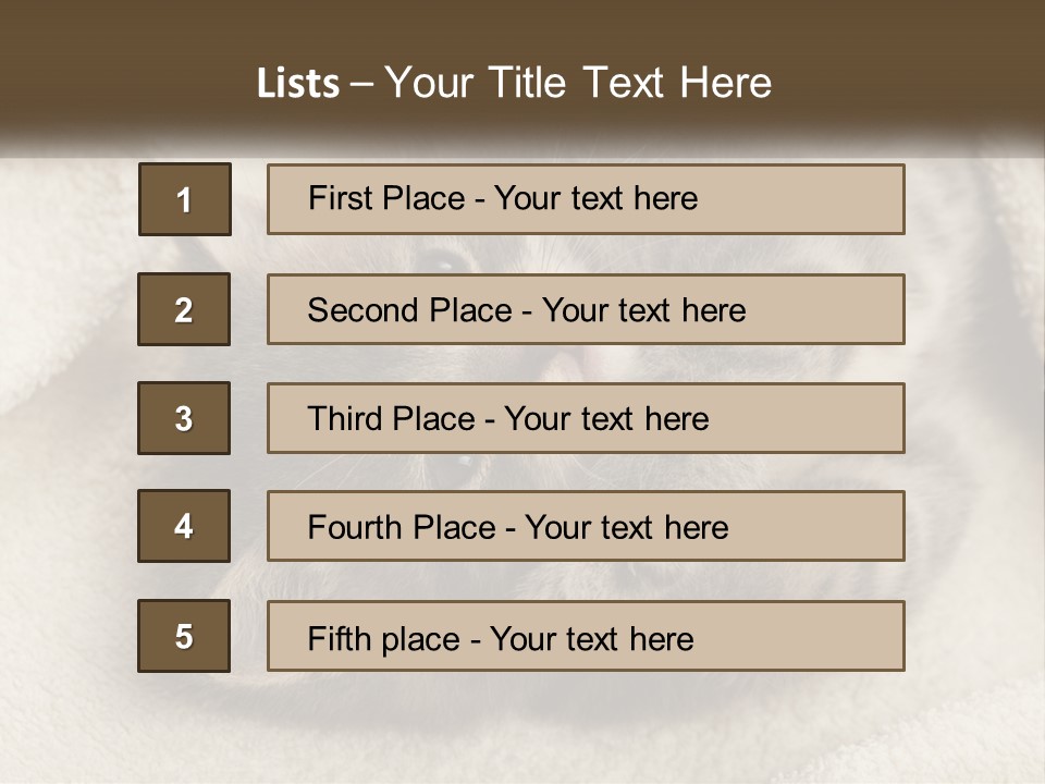 Whiskers Feline Charming PowerPoint Template