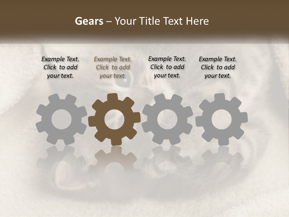 Whiskers Feline Charming PowerPoint Template