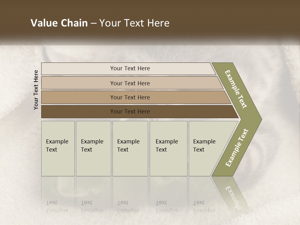 Whiskers Feline Charming PowerPoint Template