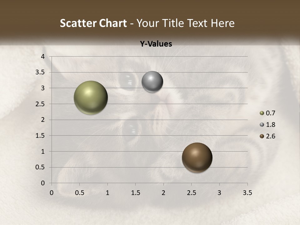 Whiskers Feline Charming PowerPoint Template