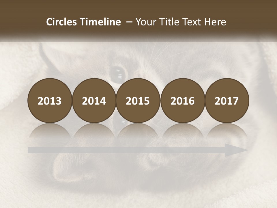 Whiskers Feline Charming PowerPoint Template