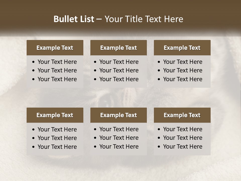 Whiskers Feline Charming PowerPoint Template