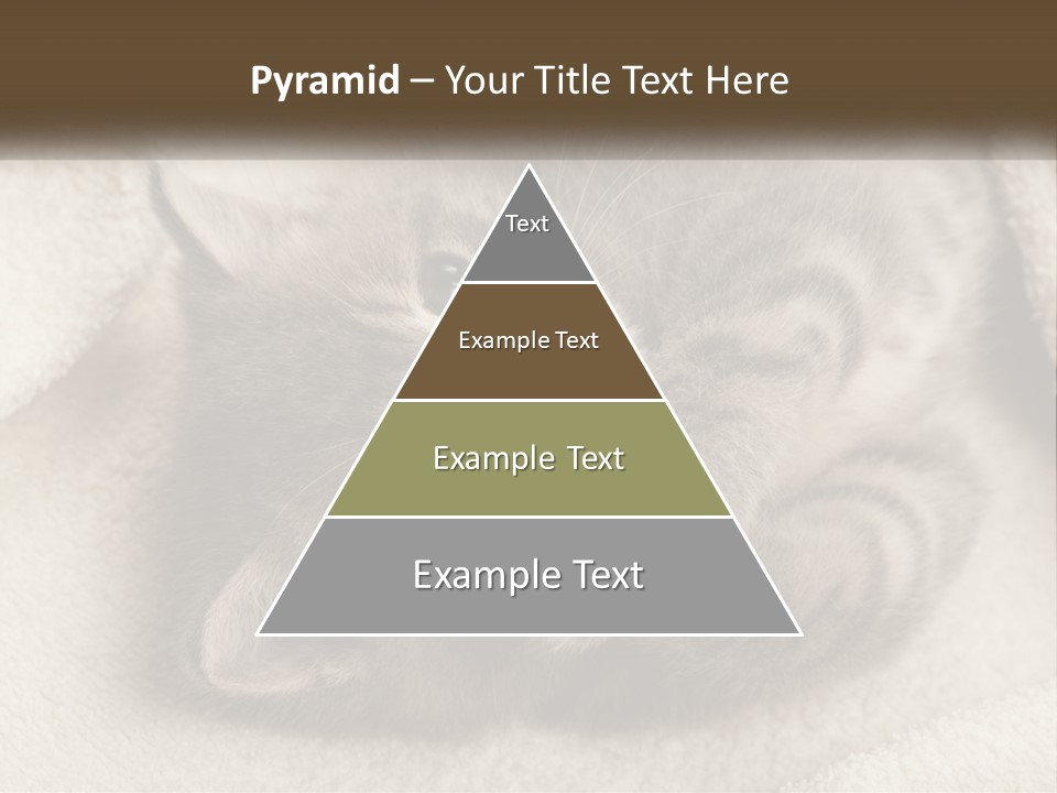 Whiskers Feline Charming PowerPoint Template