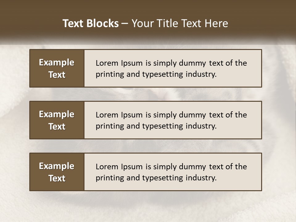 Whiskers Feline Charming PowerPoint Template