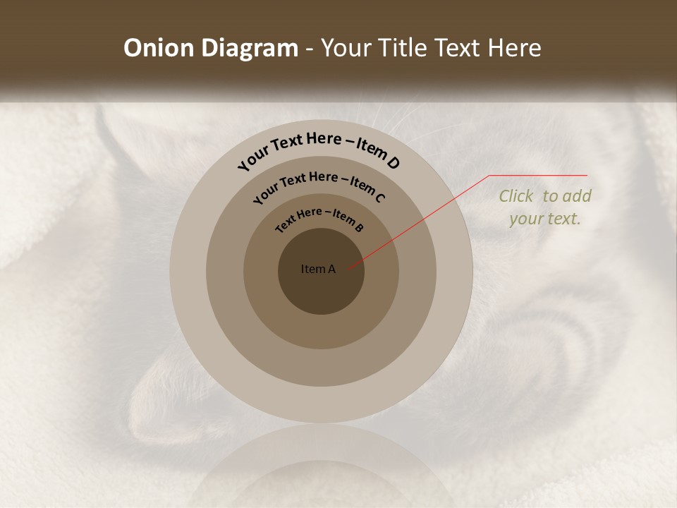 Whiskers Feline Charming PowerPoint Template