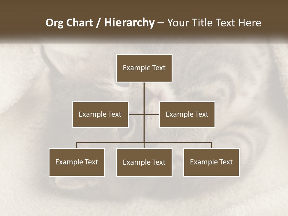 Whiskers Feline Charming PowerPoint Template