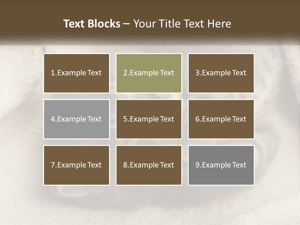 Whiskers Feline Charming PowerPoint Template