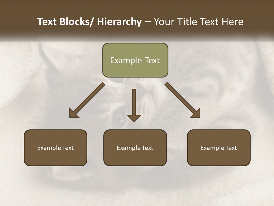 Whiskers Feline Charming PowerPoint Template