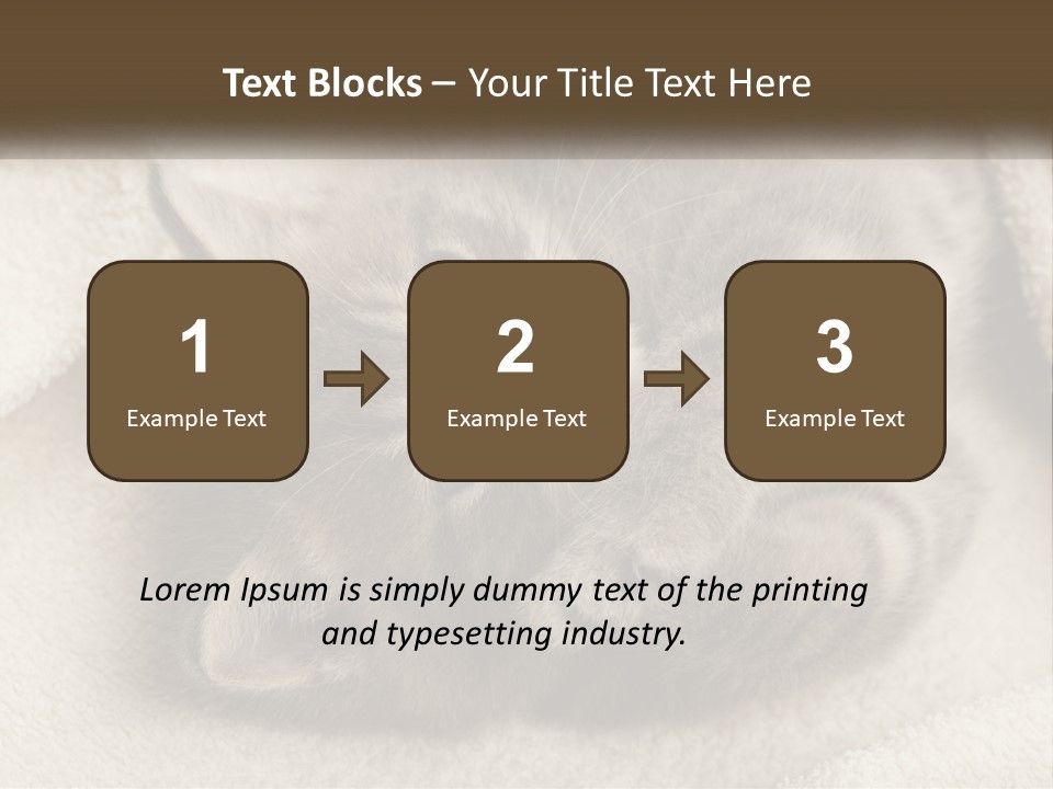 Whiskers Feline Charming PowerPoint Template