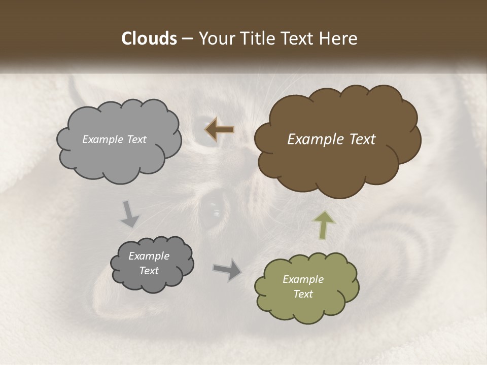 Whiskers Feline Charming PowerPoint Template