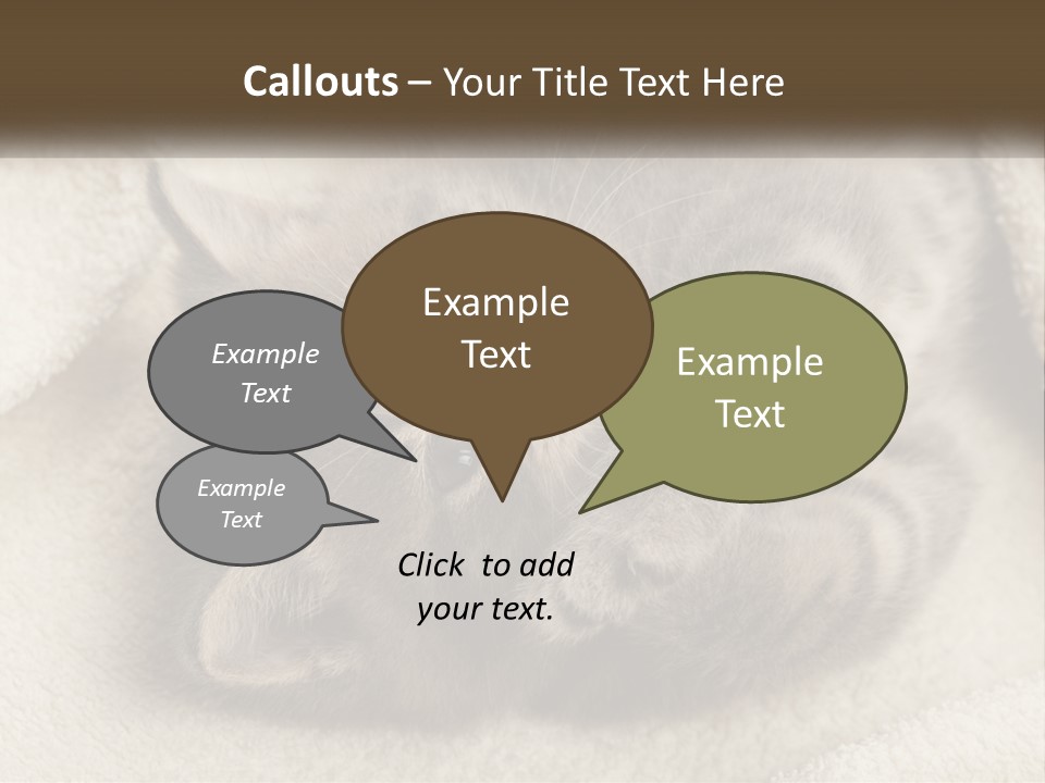 Whiskers Feline Charming PowerPoint Template