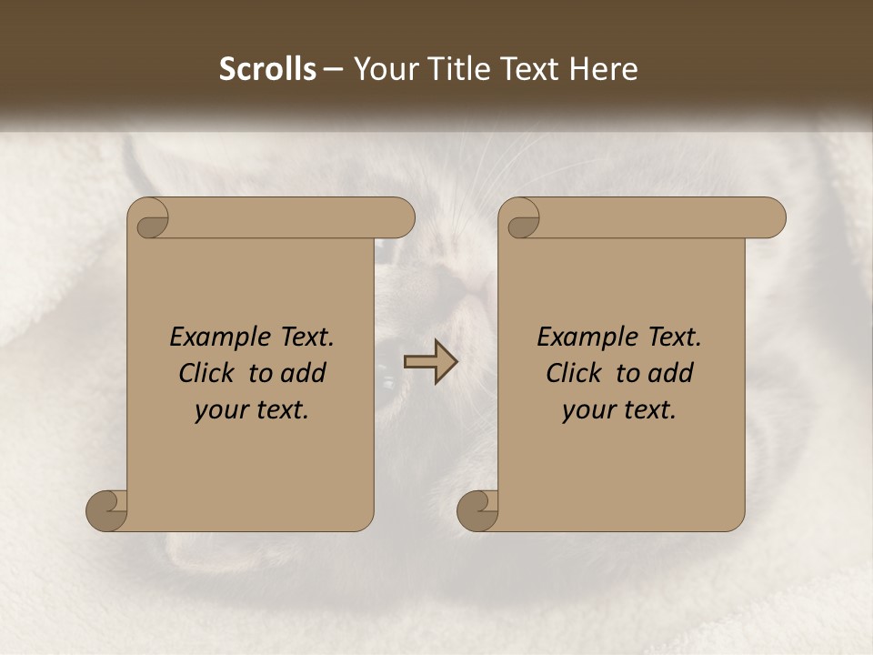 Whiskers Feline Charming PowerPoint Template