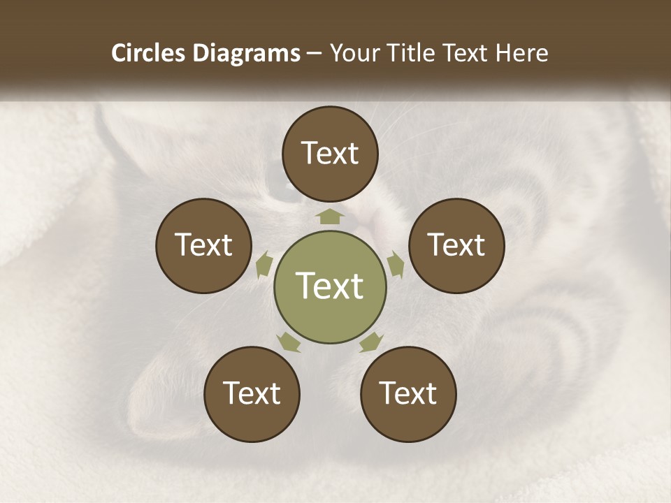 Whiskers Feline Charming PowerPoint Template