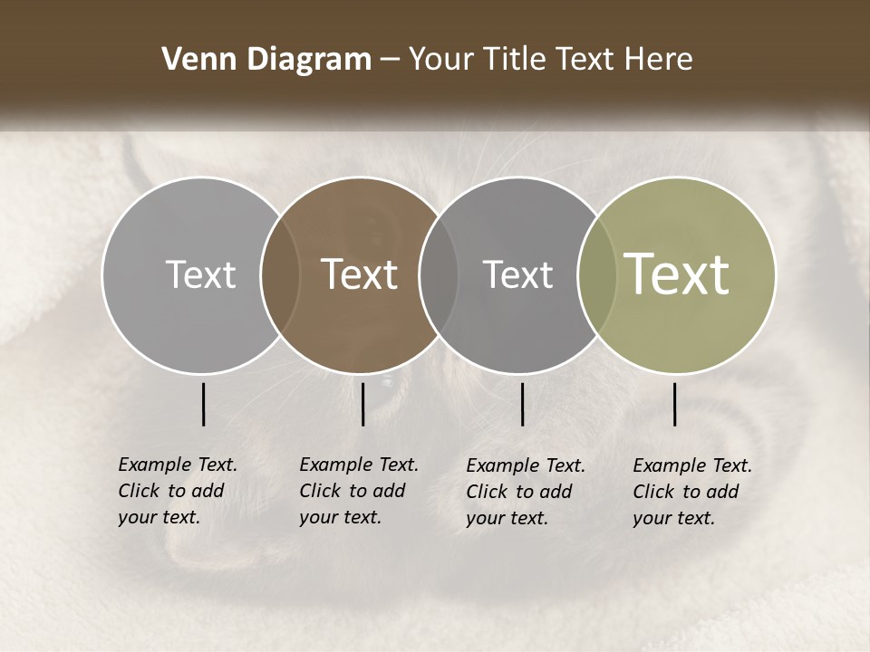 Whiskers Feline Charming PowerPoint Template