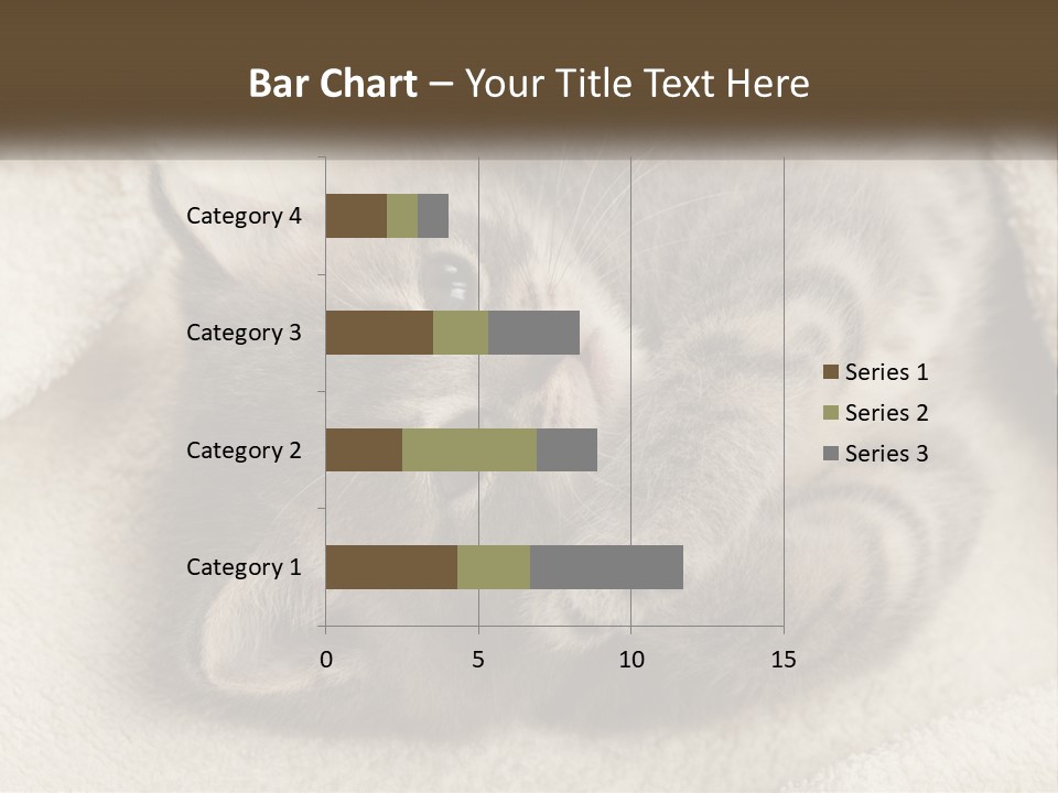 Whiskers Feline Charming PowerPoint Template