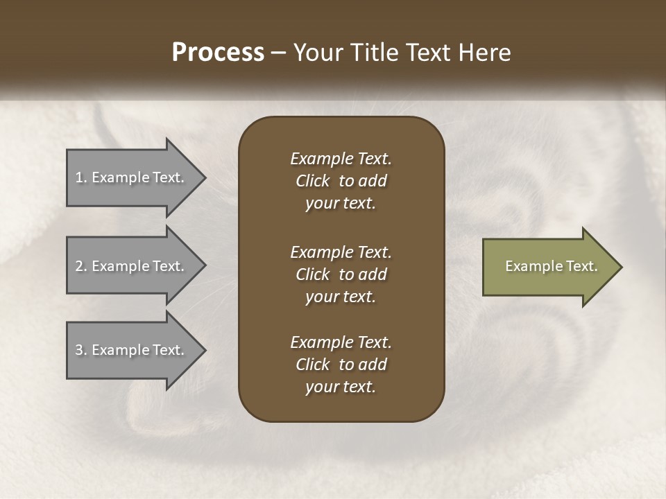 Whiskers Feline Charming PowerPoint Template